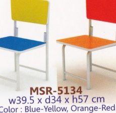 Expo-MSR-5134-300x226