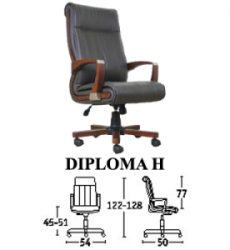 diploma-h-300x300