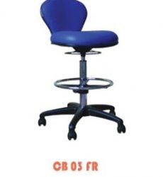 CB-03-FR-N-247x300