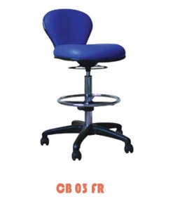 CB-03-FR-N-247x300