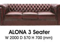 Alona-III-300x161