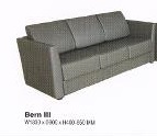 Bern-III