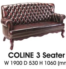 Coline-III-300x241