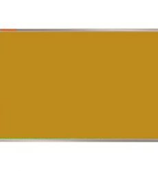 11880991_10205654120251482_1159432376_n