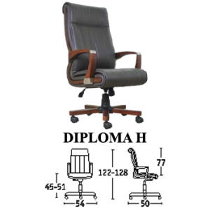diploma-h-300x300
