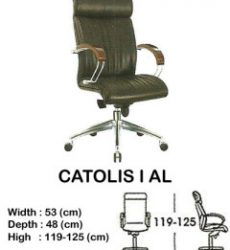kursi-director-manager-indachi-catolis-I-al-240x300 (1)