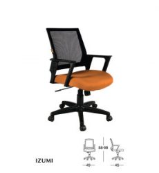 IZUMI-300x300