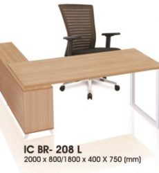 IC-BR-208-L-300x280