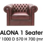 Alona-I-300x239