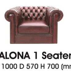 Alona-I-300x239