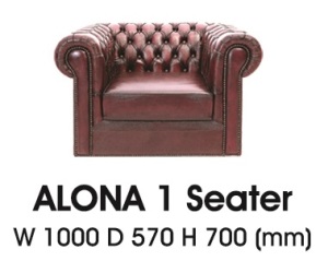 Alona-I-300x239