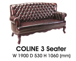 Coline-III-300x241